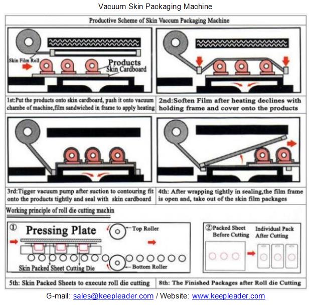 Vacuum Skin Packaging Machine